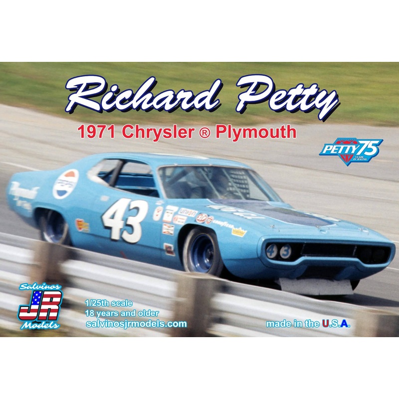 1/25  Richard Petty Plymouth Pepsi