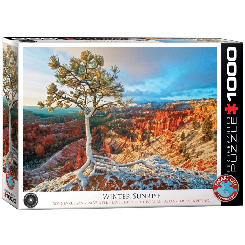 1000 Piece Puzzle - Winter Sunrise