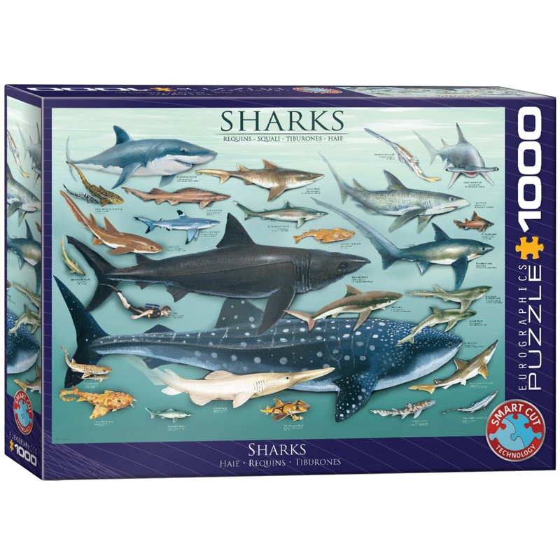 1000 Piece Puzzle - Sharks