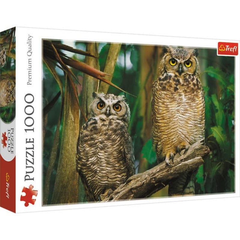 1000 Piece Puzzle - Owls